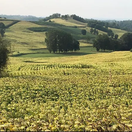 Couette-café A Casa Di Bianca 3*